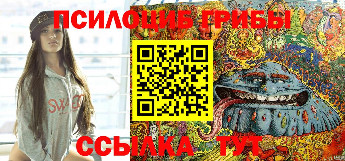 Гусь-Хрустальный  Галлюциногенные грибы Psilocybine cubensis  Вход с VPN 